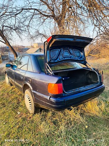 Audi: Audi 100: 1992 г., 0.2 л, Механика, Бензин, Седан — 18