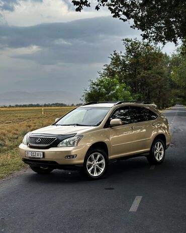 полироль для авто: Lexus RX: 2008 г., 3.5 л, Автомат, Газ, Кроссовер