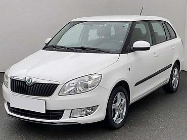 gitovanje branika: ŠKODA FABIA II 1.4TDI - KOMPLETAN AUTO U DELOVIMA | Kompletan auto — 1