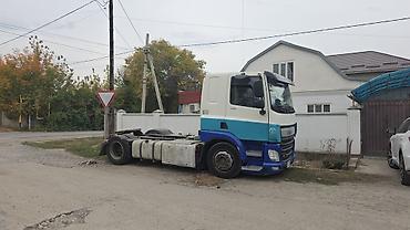 toyota cube: Тягач, DAF, 2016 г., Без прицепа — 3