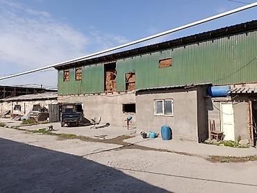 убойня: Farm КРС, 30 соток, Действующий, Частично с оборудованием, Электричество — 2