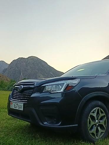Subaru: Subaru Forester: 2019 г., Кроссовер — 1