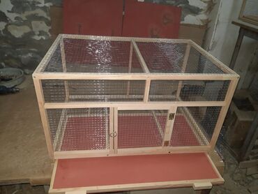 купить клетку для морской свинки: Təzə yıxılma fərqli ölçülərdə var hal hazırda altı padnoslu.qondermey lalafo.az -da купить клетку для морской свинки: Təzə yıxılma fərqli ölçülərdə var hal hazırda altı padnoslu.qondermey