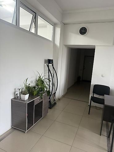 group: Сдаю Офисный шкаф: Сдаю Нотариус, IT company, Авиакасса, 150 м², В бизнес центре, С ремонтом — 4