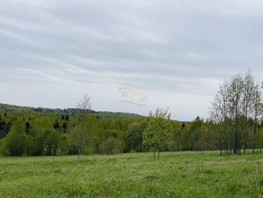 продаю дом красный речка: 13 соток, Для строительства, Красная книга