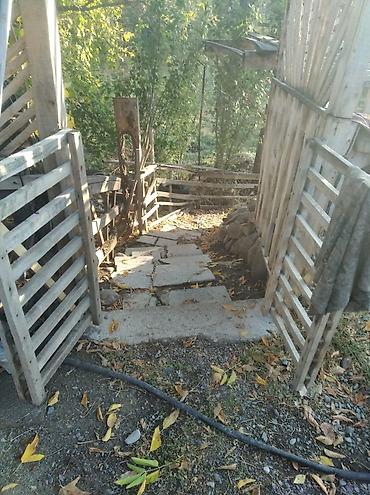 Продажа домов: 3 комнаты, 40 м², 30 соток, Чон-Арык, Собственник — 6