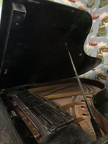 ronisch piano: S. Günther “Breveté Bruxelles” qrand piano - Marka/model: S. Günther — 9