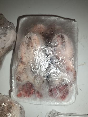 samovar qiymetleri: Ov quslari sezonu başladı. Qaşqaldaq - 9 AZN Gərəf (çöl quşu) - 7 AZN — 2