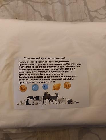 🐔 Мал-жандыктарыңыз алсызбы? Өсүшү жайлап калдыбы? 💪 ЧЕЧИМ БАР!