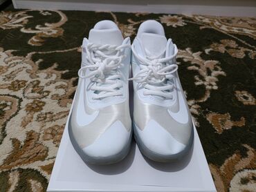 баскетбольные ботасы: Эркектердин кроссовкасы, 42, Nike, Жаңы, түсү - Ак, Өзү алып кетүү