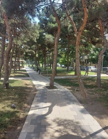 Uzunmüddətli kirayə mənzillər: Metro Əcəmiyə 5-6 dəqiəlik yolu var. Nəsimi və Binəqədi rayonunun -da lalafo.az — 10 Uzunmüddətli kirayə mənzillər: Metro Əcəmiyə 5-6 dəqiəlik yolu var. Nəsimi və Binəqədi rayonunun — 10