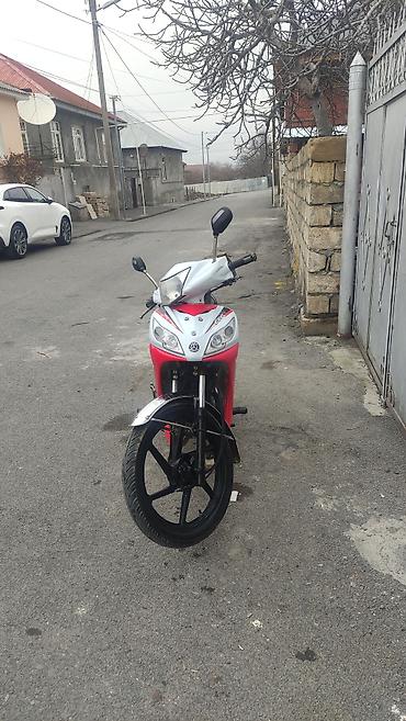 Mopedlər,skuterlər: - EGE seriyası — 16