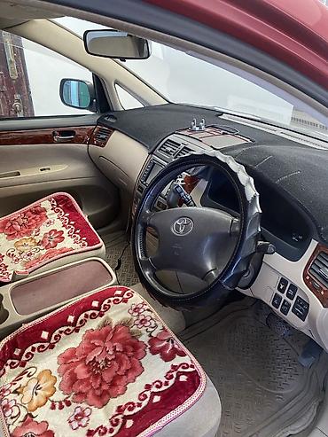 водный мото: Toyota Ipsum: 2003 г., Автомат, Универсал — 1