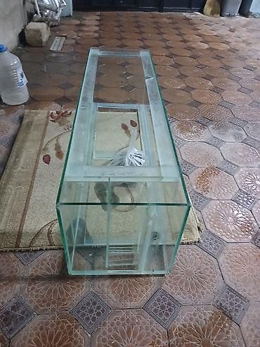 akvarium zavod istehsali: 140x40x40 10luq şüşədi çox təcili samp sistemli sapın iç ləvazimatları — 2