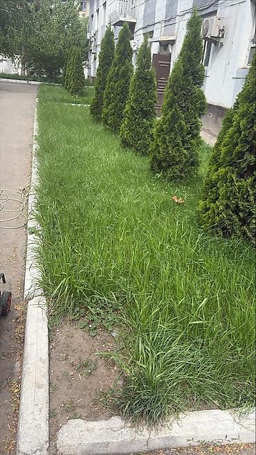 отдых ош: Уборка территории, Уборка снега, Уборка двора и сада, Мойка фасада — 3