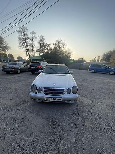 решетка w203: Mercedes-Benz E-Class: 2001 г., 2.7 л, Автомат, Дизель, Седан — 1