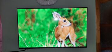 kiçik tv: Yeni Televizor Toshiba OLED 43" UHD (3840x2160), Ünvandan götürmə, Ödənişli çatdırılma