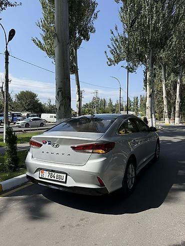 byd khan: Hyundai Sonata: 2019 г., 2 л, Автомат, Бензин, Седан — 4