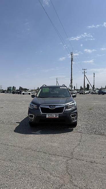 outback 2004: Subaru Forester: 2020 г., Кроссовер — 2