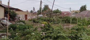 земельный участок первая линия: 1148 соток, Курулуш, Кызыл китеп, Белек келишими, Техпаспорт