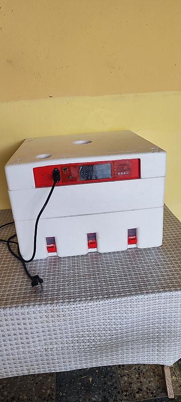 Инкубаторы: Elektron inkubator – polistirol korpuslu, rəqəmsal idarəetmə paneli — 2