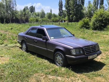 Mercedes-Benz: Mercedes-Benz W124: 1992 г., 2.6 л, Механика, Бензин, Седан