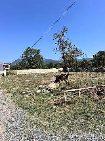 kənd: 10 sot, Tikinti, Kupça (Çıxarış) — 3