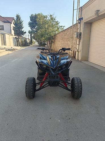 Kvadrosikllər: 160 sm3, 2020 il, 1500 km — 1