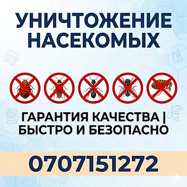 клей от мышей: Дезинфекция, дезинсекция, | Вирусы, микробы, Блохи, Клопы, | Дома, Квартиры, Подвал, погреб — 1