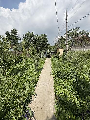 Продажа дач: 🌿 Продается дача в Кашка-Суу 🌿 📍 Всего в 200 метрах от трассы! ✨ — 12