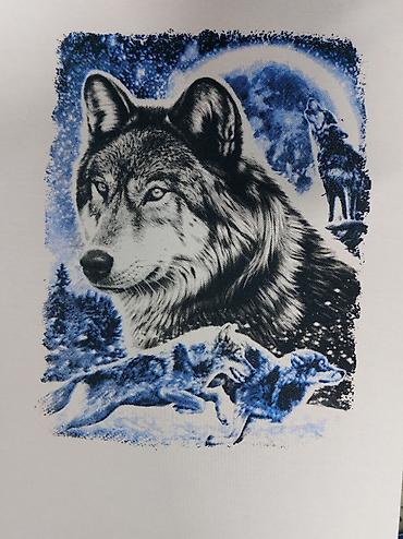 Печать: ДТФ печать, Сублимационная (дисперсная) печать, Шелкография, | Шопперы, Кепки, Жилеты — 3