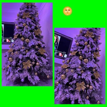17 şam: Şam ağacı🎄😻Hündürlüyü 2 40sm üstünde oyuncaqlar verilir ve elave