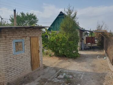 дом возле речки: Дача/садовый участок с домиком и хозяйственными постройками -