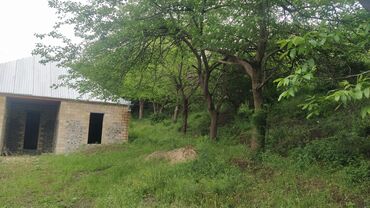 Həyət evləri və villaların satışı: 3 otaqlı, 140 kv. m — 3