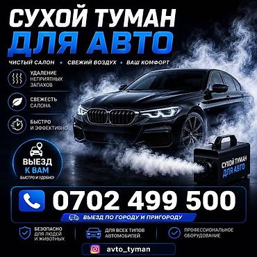 лед туманик: Сухой туман для авто — профессиональная обработка салона Что делаем — 1
