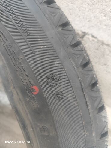 Шины: Шины 215 / 60 / R 16, Зима, Легковые, PRIMUS — 6