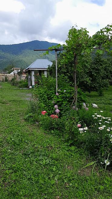 yeni emlak kiraye: 80 kv. m, 2 otaqlı, Su — 5