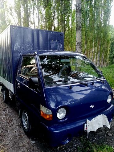 жеңил жүк ташуучу унаалар: Жеңил жүк ташуучу унаа, Hyundai, Стандарт