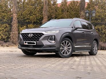 шины 2356516: Hyundai Santa Fe: 2018 г., 2.2 л, Автомат, Дизель, Кроссовер