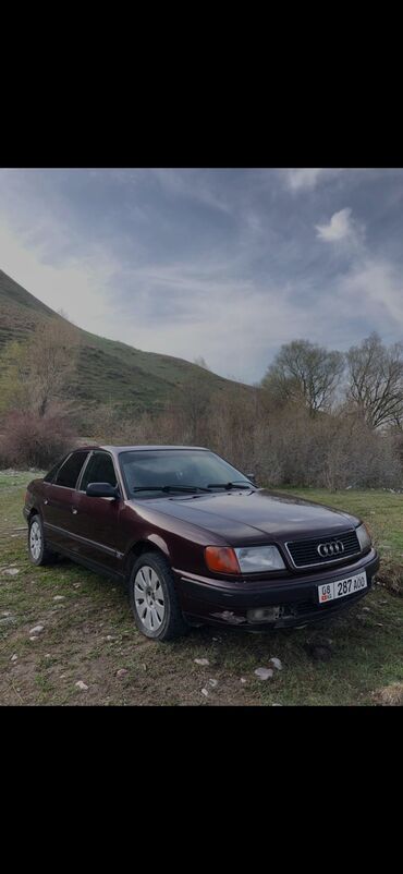 газ 53 силиндир: Audi 100: 1992 г., 2.6 л, Механика, Газ, Седан