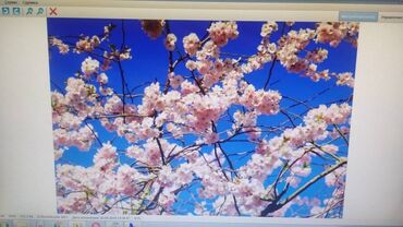 Натяжной потолок: Натяжной потолок 3D потолки Монтаж, Гарантия, Демонтаж — 7