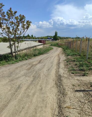 Продажа участков: 600 соток, Для бизнеса, Красная книга — 2