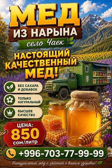 Мёд: Мёд из Нарына, село Чаек - Настоящий качественный мёд - Без сахара и — 1