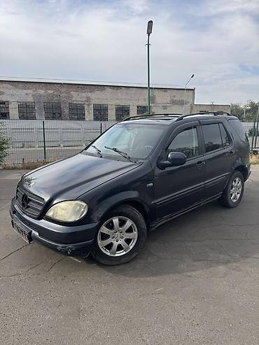w163: Mercedes-Benz ML-Class: 2002 г., 2.7 л, Автомат, Дизель, Кроссовер — 10