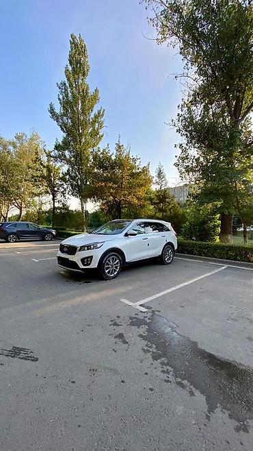 range rover 2012: Kia Sorento: 2017 г., 2.2 л, Автомат, Дизель, Кроссовер — 3