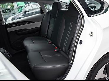 byd e9 1: Dongfeng : 2021 г. — 5