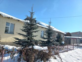 самый дешевый линолеум цена бишкек: Продаю Голубой Ель и Зелёный