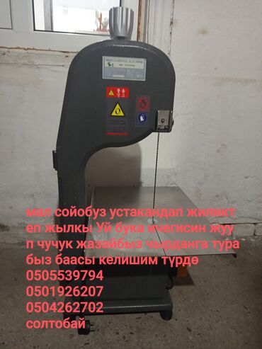 уэльский горный пони: Башка жаныбарлар