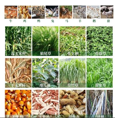 Товары и оборудование для с/х животных: Измельчитель кормов Demetra DM-400 3 кВт — Надёжный помощник на ферме at lalafo.kg — 2 Товары и оборудование для с/х животных: Измельчитель кормов Demetra DM-400 3 кВт — Надёжный помощник на ферме — 2