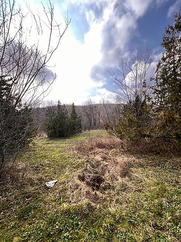 Torpaq sahələrinin satışı: Kənd təsərrüfatı -da lalafo.az — 10 Torpaq sahələrinin satışı: Kənd təsərrüfatı — 10